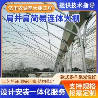 肩并肩簡(jiǎn)易連體大棚 農(nóng)業(yè)大棚連棟保溫簡(jiǎn)易大棚 可設(shè)計(jì)安裝種植棚