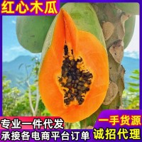 紅心木瓜時(shí)令水果產(chǎn)地直發(fā)新鮮采摘紅心木瓜包郵3斤5斤9斤裝一件