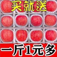 【精選】高山冰糖心紅富士蘋果水果新鮮脆甜特價(jià)多規(guī)格整箱批發(fā)