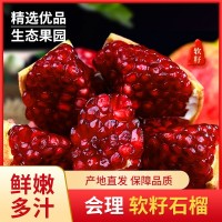 四川會理軟籽石榴突尼斯軟石榴果園先摘紅心軟石榴現(xiàn)貨批發(fā)