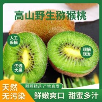 宜賓屏山縣 高山野生獼猴桃