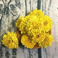 散裝金絲皇菊黃山皇菊菊花茶婺源皇菊一手貨源 量大價優(yōu) 現(xiàn)貨批發(fā)