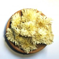 散裝七月菊黃山貢菊 花草茶 白菊花茶一手貨源 量大價優(yōu) 現(xiàn)貨批發(fā)