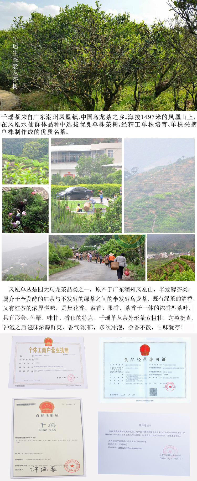 千瑤詳情2016