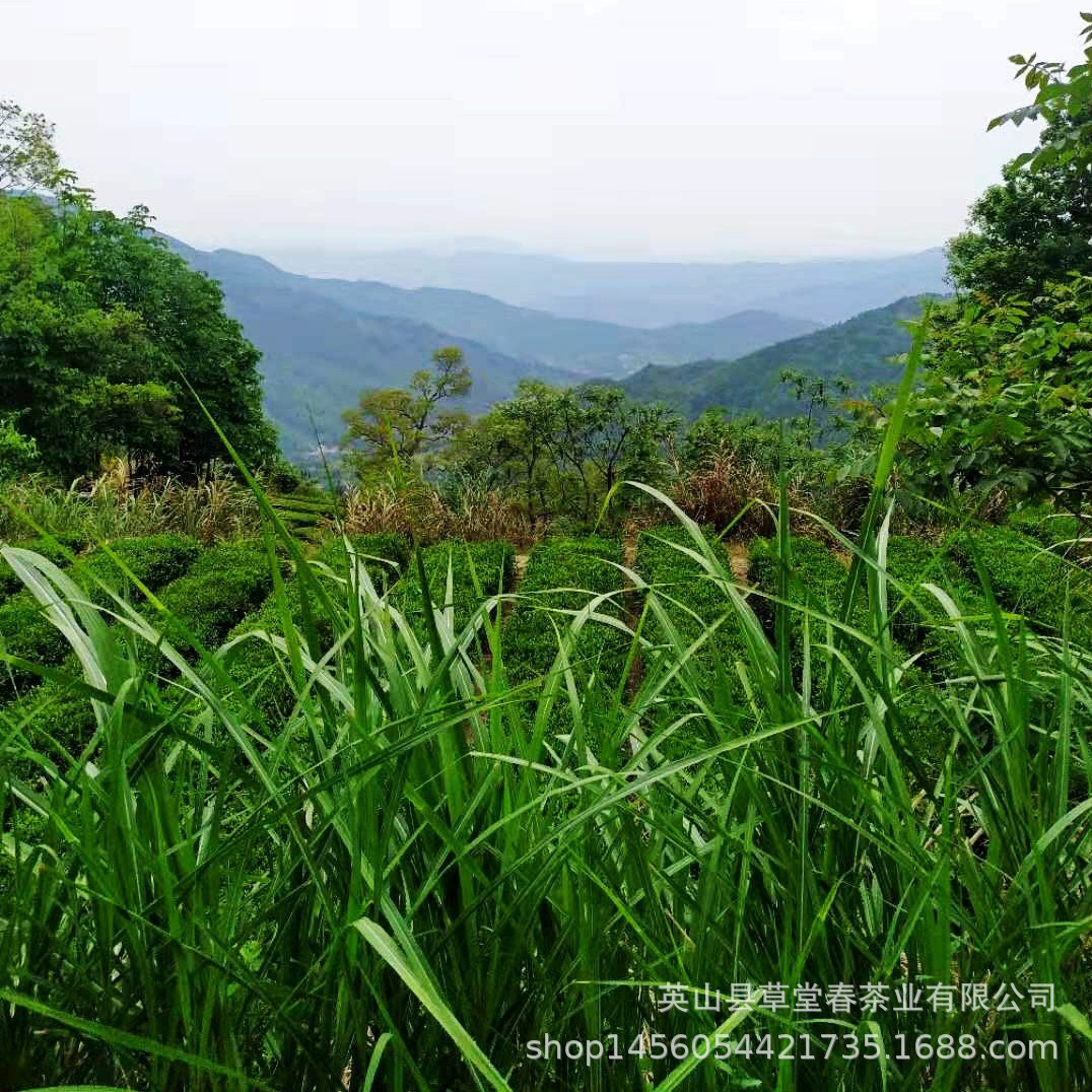 微信圖片_20190702205946_conew1.jpg