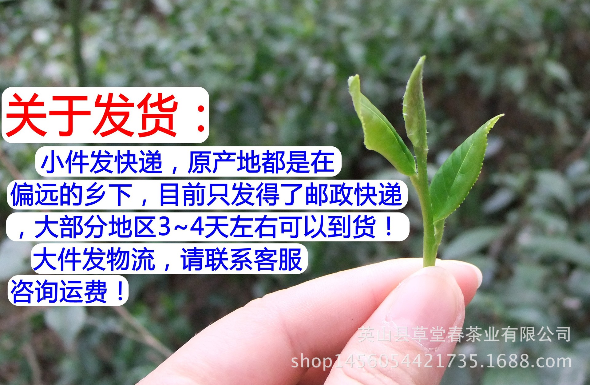 關(guān)于發(fā)貨