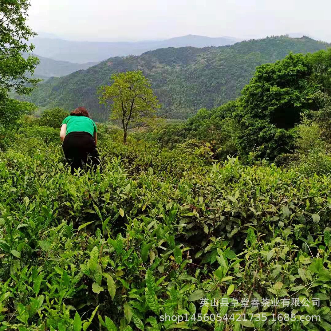 微信圖片_20190702205938_conew1.jpg