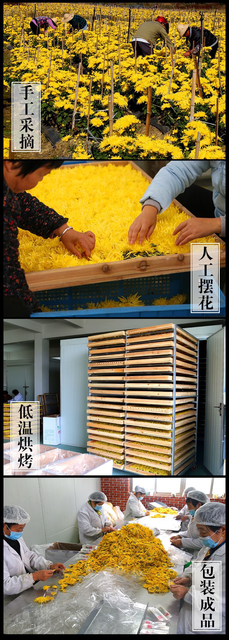 未標(biāo)題-1_21.jpg