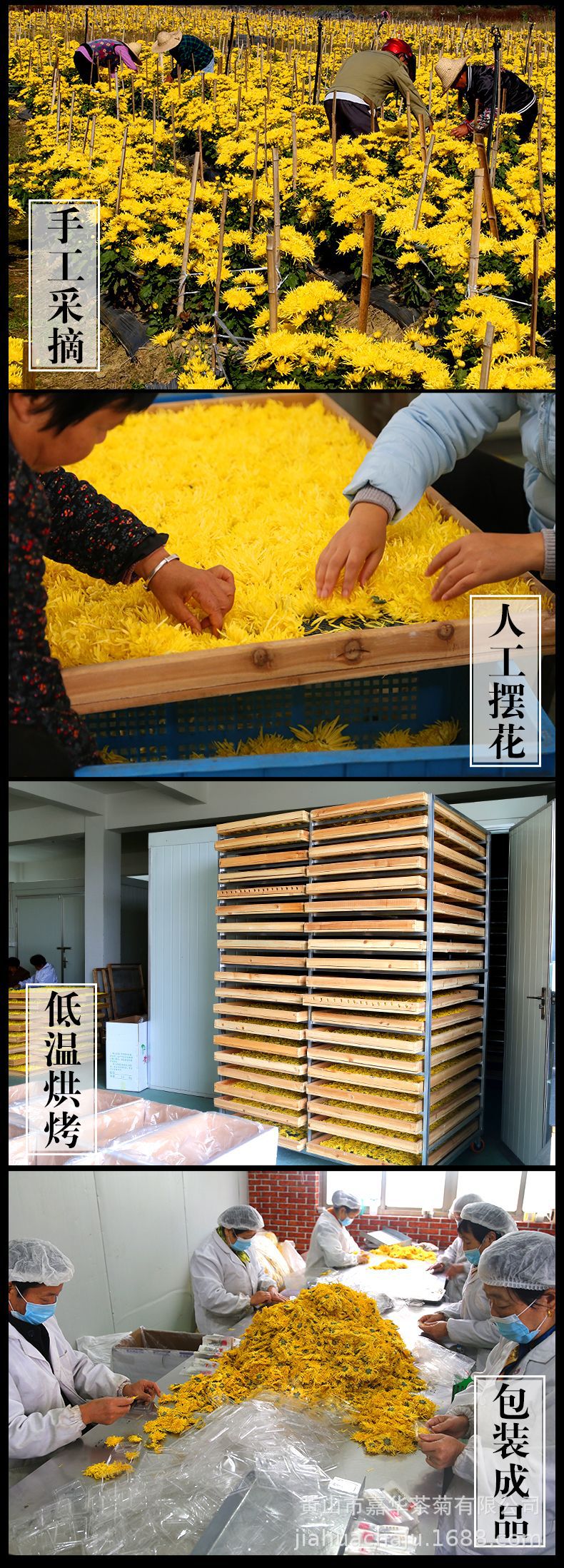 詳情_10.jpg