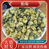 新貨散裝胎菊 沖泡京胎菊花草茶現(xiàn)貨菊花茶廠(chǎng)家批發(fā)直銷(xiāo)泡水花茶