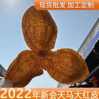 2022年天馬梅江大紅皮 新會(huì)陳皮 新皮正宗特產(chǎn)日曬純干倉 廠家批發(fā)