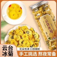 艮古堂云臺冰菊代用茶一朵一杯罐裝居家辦公大花菊花