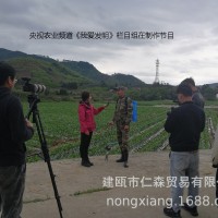 助力踏板施肥器（不配背包和桶，其他都配）