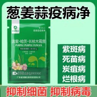 蔥姜蒜病全治殺菌劑大蒜 干尖靈 大蔥銹病大姜炭疽姜瘟疫病專用藥
