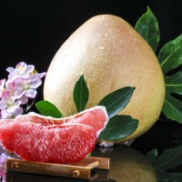 正宗紅肉蜜柚三紅柚梅州老樹金柚子大果新鮮水果沙田柚廣東梅州