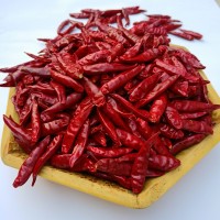 河南新一代正宗三櫻椒微辣中辣產(chǎn)地直供干辣椒廠家大量現(xiàn)貨供應(yīng)