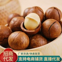 夏威夷果薄皮堅(jiān)果批發(fā)100g代發(fā) 奶香堅(jiān)果零食干果薄殼夏威夷果仁
