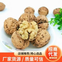 云南103紙皮生核桃批發(fā)手剝薄皮核桃堅(jiān)果一件代發(fā)