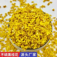 源頭廠家廣西桂林桂花散裝批發(fā)干桂花茶量大從優(yōu)金桂花茶 桂花干花