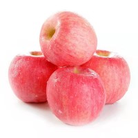 正宗棲霞紅富士煙臺(tái)蘋果新鮮產(chǎn)地直發(fā)當(dāng)季新果脆甜多汁一件代發(fā)