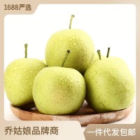甘甜碭山酥梨帶箱2/3/5/9斤裝新鮮梨子水果酥黃冠脆甜多 汁包郵