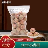 2022小青柑500g 新會(huì)特產(chǎn)特級陳皮普洱茶柑普茶散裝年貨廠家批發(fā)