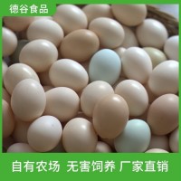 德谷食品 供應(yīng)農(nóng)家五谷蛋 飯店用 營(yíng)養(yǎng)豐富 基地直發(fā)