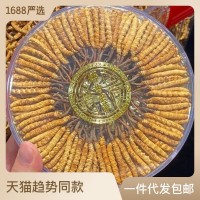 顧源堂 特惠3000條規(guī)格凍干草 一手貨源冬蟲夏草 足干飽滿 無斷草