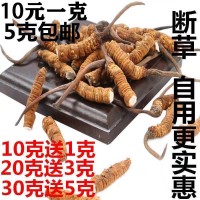 2022年正品斷蟲草整根冬蟲草禮盒裝送禮非西藏那曲冬蟲夏草批發(fā)