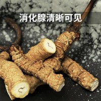 正宗斷草禮罐裝西藏那曲冬蟲夏草冬蟲草斷蟲草大量批發(fā)干貨送禮