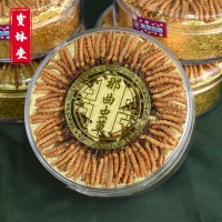 寶林堂 西藏那曲新鮮冬蟲夏草禮盒裝 無斷草蟲草冬蟲夏草干貨批發(fā)