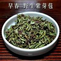 普洱茶 生茶 勐庫大雪山 紫芽苞 明前春茶 散茶
