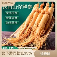 東北特產(chǎn)吉林長(zhǎng)白山人參 保鮮人參廠家批發(fā)新鮮人參批發(fā)多規(guī)格
