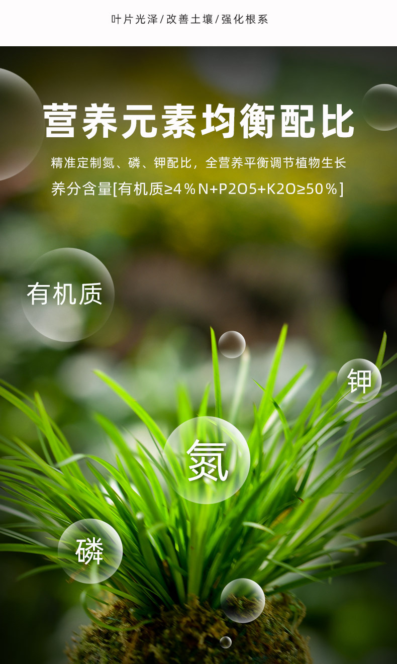 花彩控釋顆粒_08