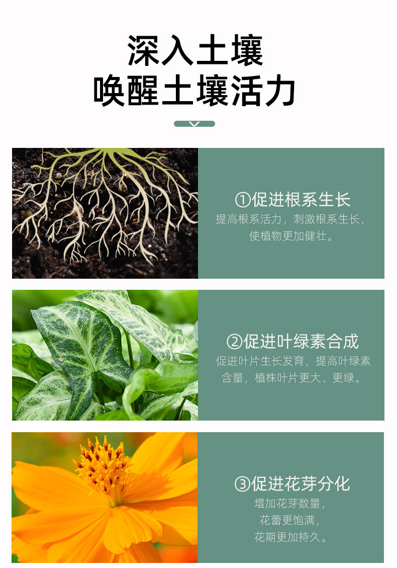 花彩控釋顆粒_07