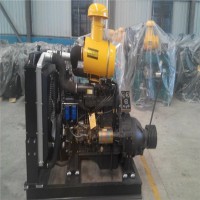 常柴常發(fā)195 1100 1105 1110 1115 L24 28水冷單缸柴油機柱塞