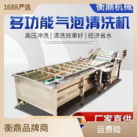 葡萄千禧果氣泡清洗機(jī) 柿子李子櫻桃全自動(dòng)清洗設(shè)備 果蔬 清洗機(jī)