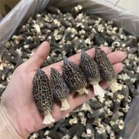 羊肚菌干貨特產(chǎn)批發(fā)4-6頭小個(gè)羊肚菌菇燉煲湯 云南野生羊肚菌批發(fā)