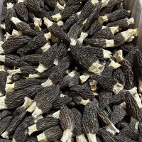 高山云南羊肚菌干貨 剪柄羊肚菌足干貨食用煲湯滋補(bǔ)菌類 一件代發(fā)
