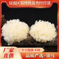 新貨上市鮮貨銀耳現(xiàn)貨批發(fā)糯耳農(nóng)產(chǎn)品白木耳雪耳煮粥濃稠新鮮菌菇