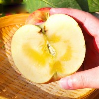 新疆阿克蘇蘋果 代發(fā)3/8斤新鮮應(yīng)季水果冰糖心脆甜紅富士蘋果
