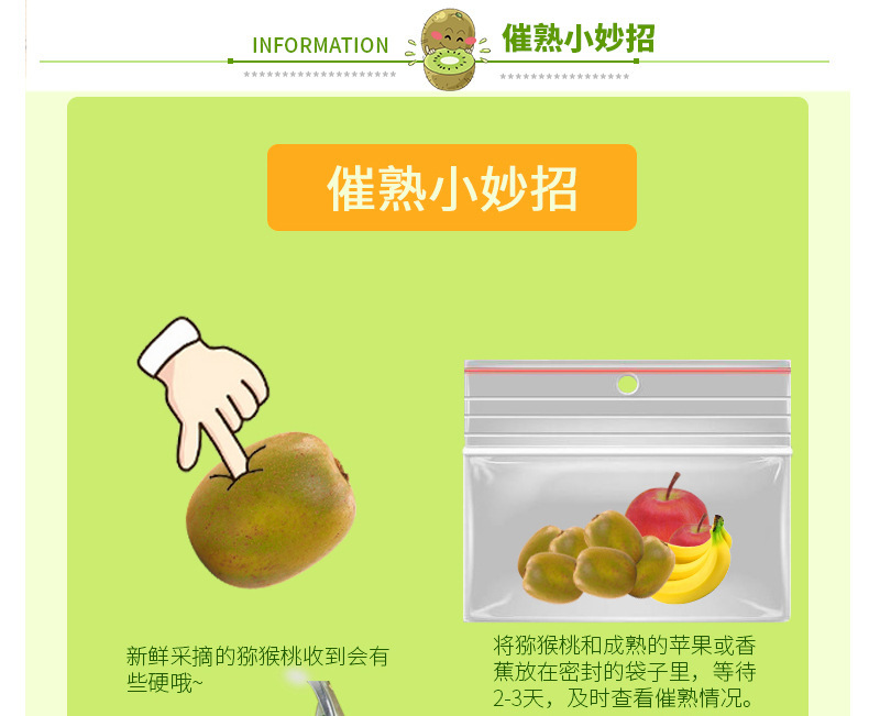 綠心-獼猴桃_12.jpg