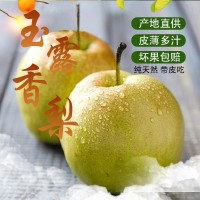 正宗玉露香梨脆甜無渣時令新鮮水果梨子特級應(yīng)季水果新鮮水果包郵