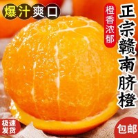 贛南臍橙新鮮橙子水果批發(fā)應季特大精品禮盒橙子5斤10斤禮盒裝