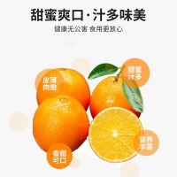 江西贛南臍橙新鮮橙子皮薄5 10 20斤果園現(xiàn)摘橙子 產(chǎn)地大量批發(fā)