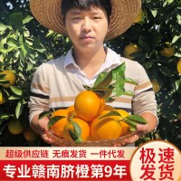 【產(chǎn)地直發(fā)】正宗贛南臍橙江西橙子20斤現(xiàn)摘薄皮當季孕婦新鮮水果
