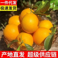 【產(chǎn)地直發(fā)】正宗贛南臍橙江西橙子現(xiàn)摘薄皮當(dāng)季孕婦新鮮水果批發(fā)