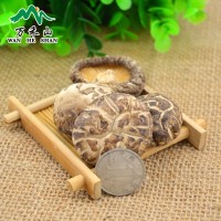 隨州香菇湖北土特產(chǎn)干香菇茶花菇500G