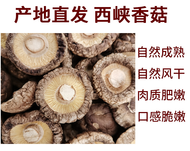 好評_04