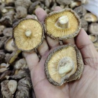3－4干香菇廠家干貨批發(fā) 湖北干冬菇 源產(chǎn)地香菇食用菌干貨出口